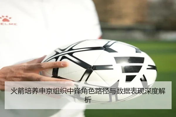 火箭培养申京组织中锋角色路径与数据表现深度解析