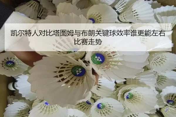 凯尔特人对比塔图姆与布朗关键球效率谁更能左右比赛走势
