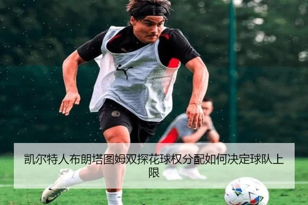 凯尔特人布朗塔图姆双探花球权分配如何决定球队上限