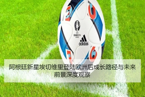 a-gen-ting-xin-xing-ai-qie-wei-li-deng-lu-ou-zhou-hou-cheng-zhang-lu-jing-yu-wei-lai-qian-jing-shen-du-guan-cha-2-304.jpg