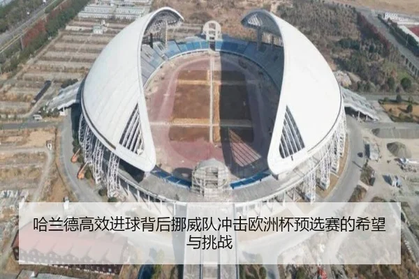 哈兰德高效进球背后挪威队冲击欧洲杯预选赛的希望与挑战