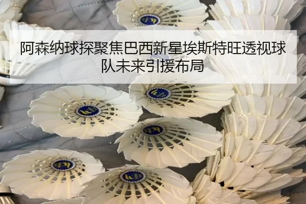 阿森纳球探聚焦巴西新星埃斯特旺透视球队未来引援布局